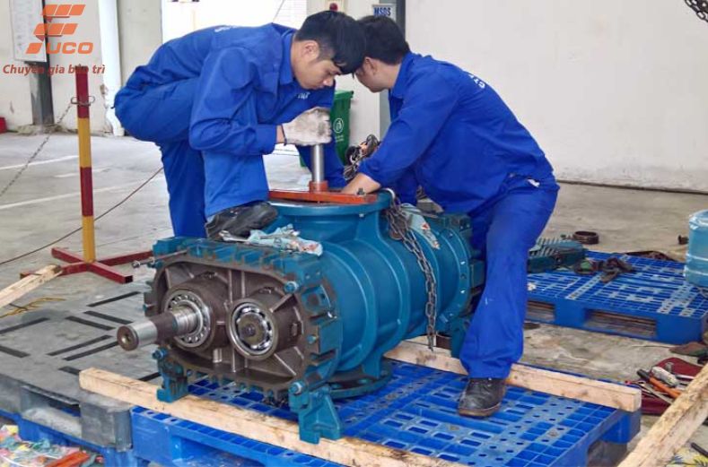 Bảo Dưỡng Máy Thổi Khí